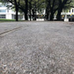 Meet your Posher, Lilly